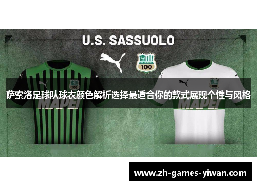 萨索洛足球队球衣颜色解析选择最适合你的款式展现个性与风格