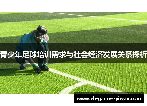 青少年足球培训需求与社会经济发展关系探析